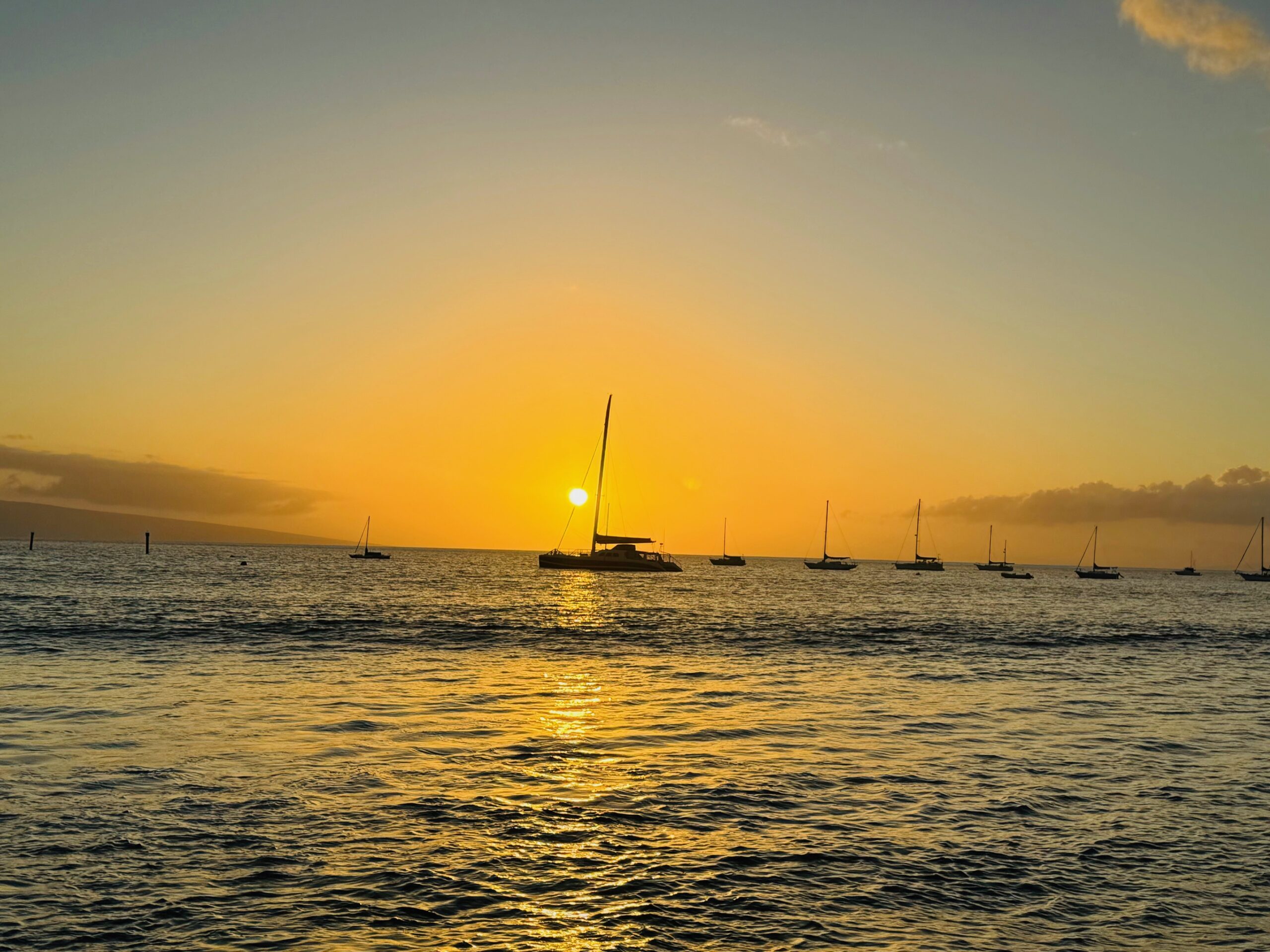 Featured Community Photo